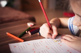 A vajdasági tanintézmények számíthatnak a tartományi kormány támogatására