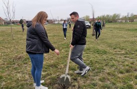 Fásítási akció volt Muzslyán