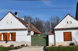 Kiscsősz, a követendő példa