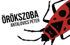 Versek a „szobából”