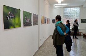 Egész évben múzeum