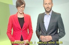 Színes, politikamentes mozaik